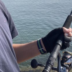 キスはまだ釣れるのかな。